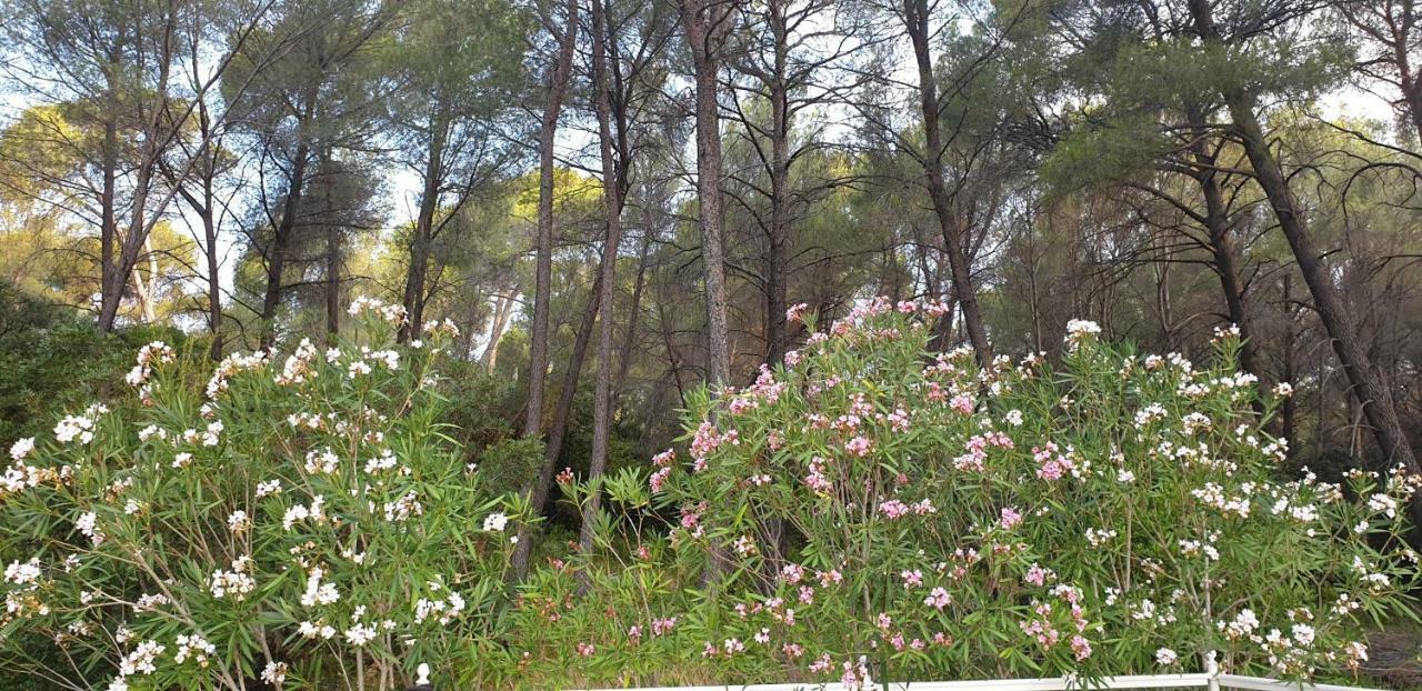 La Teze Villa Le Castellet  Buitenkant foto